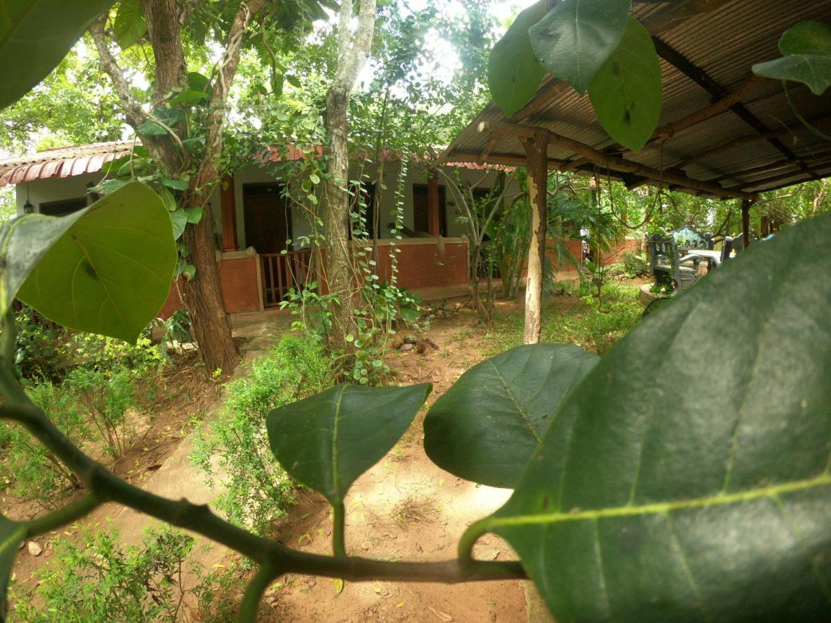New Sisira Natural Lodge Sigiriya Buitenkant foto